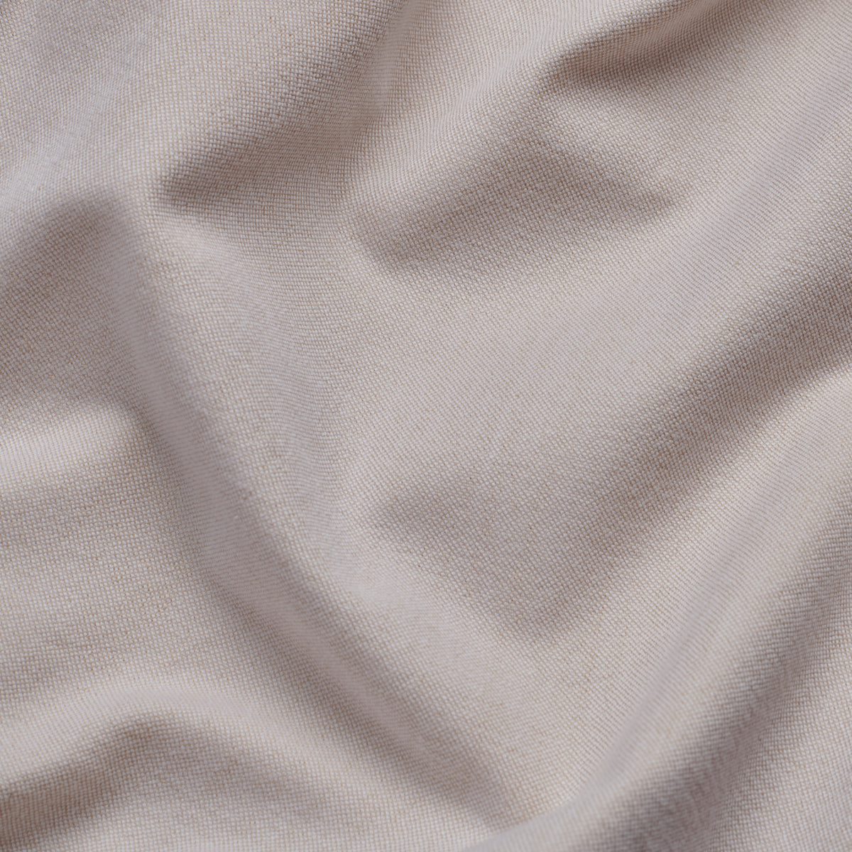 Oxford Shirt - Ecru - Fabric Detail